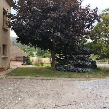 Maison Du Verdouble Rouffiac-des-Corbières Esterno foto